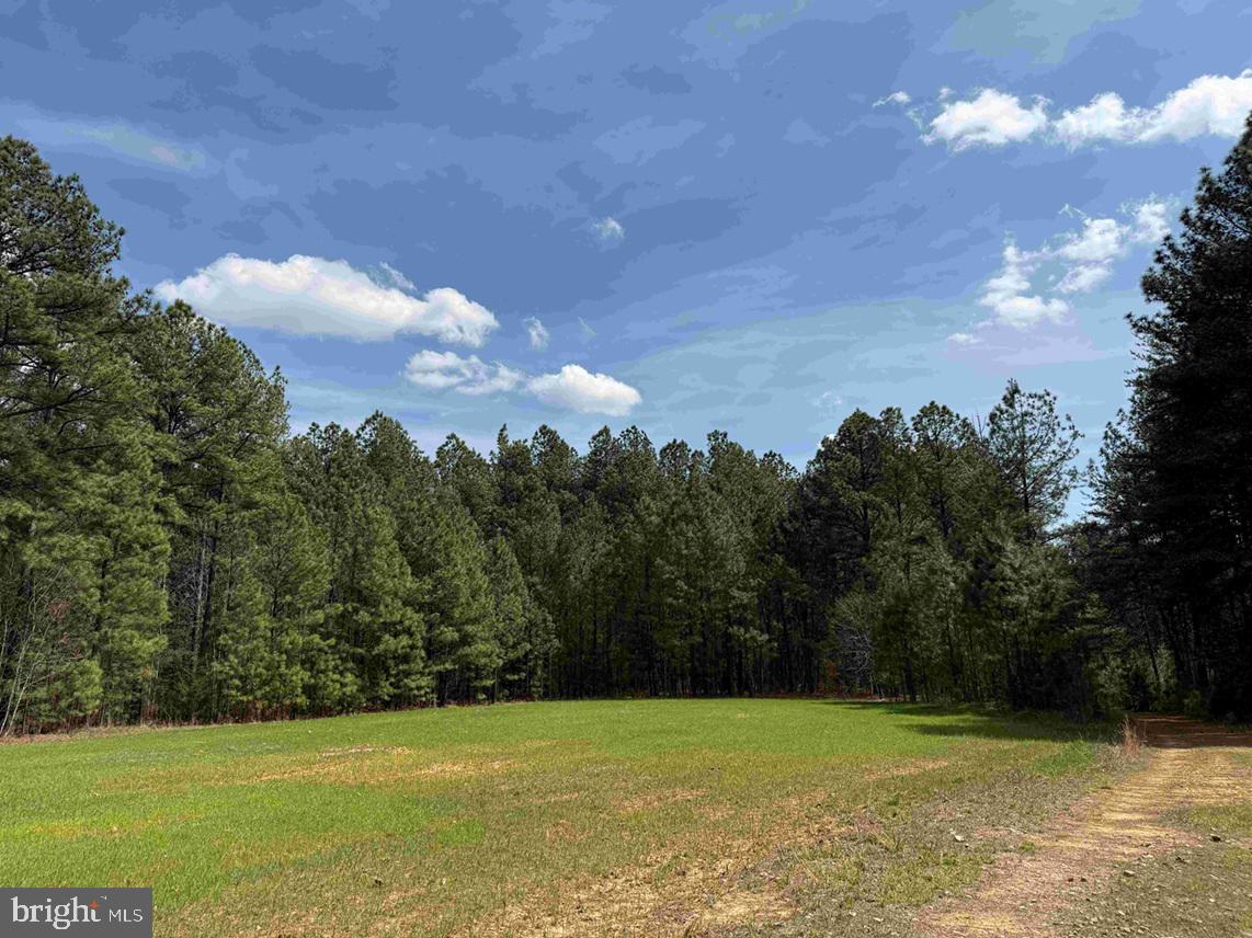 Wyatt Farm Road (tract: C118 Carter-wells) Property Photo 12