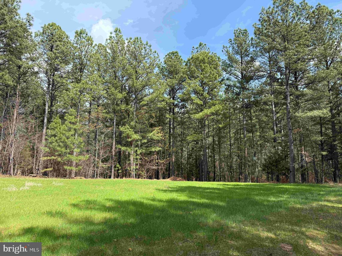 Wyatt Farm Road (tract: C118 Carter-wells) Property Photo 13