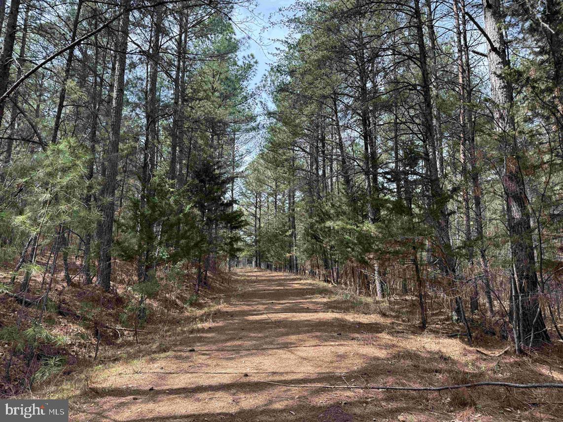 Wyatt Farm Road (tract: C118 Carter-wells) Property Photo 16