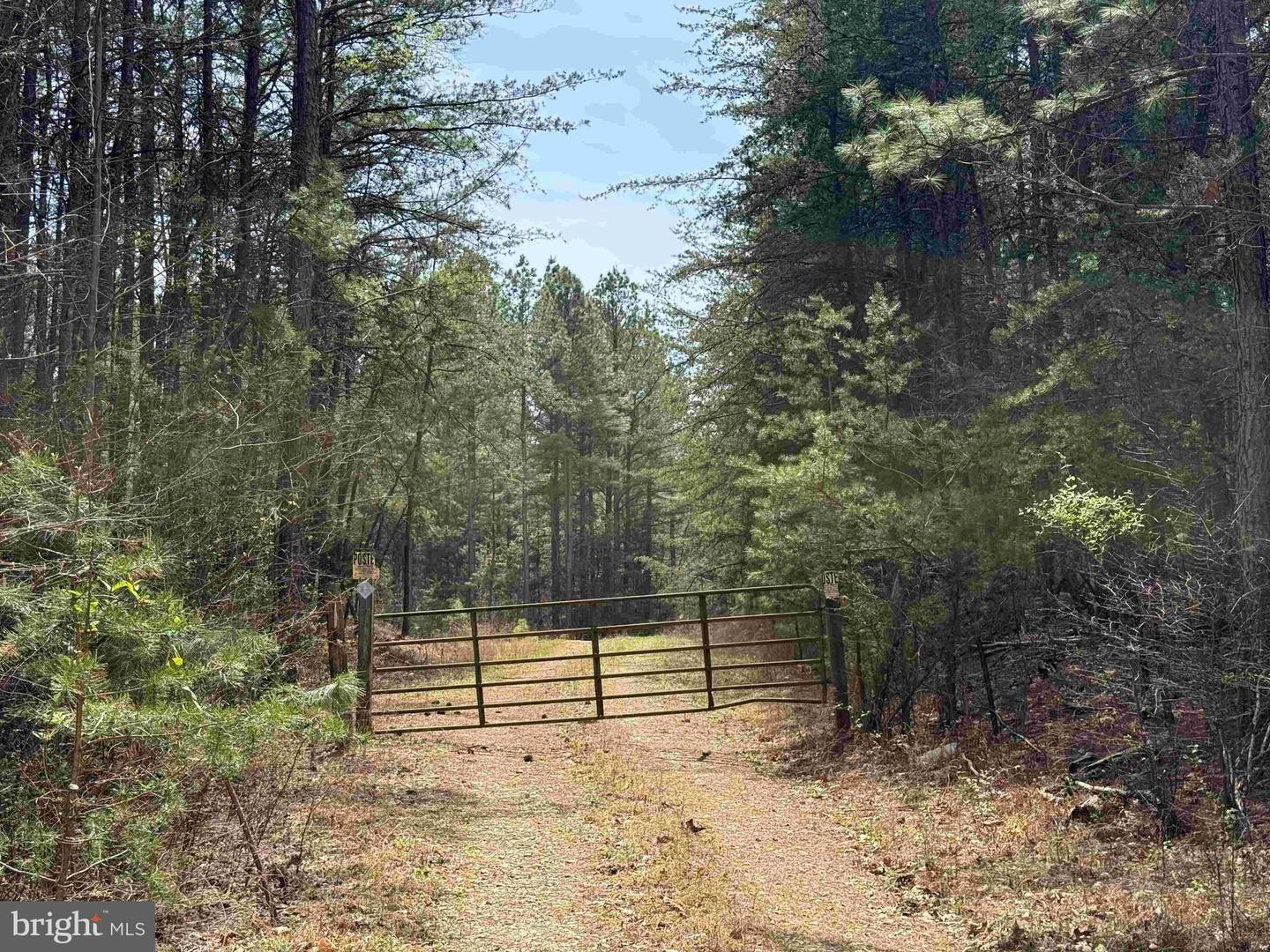 Wyatt Farm Road (tract: C118 Carter-wells) Property Photo 18