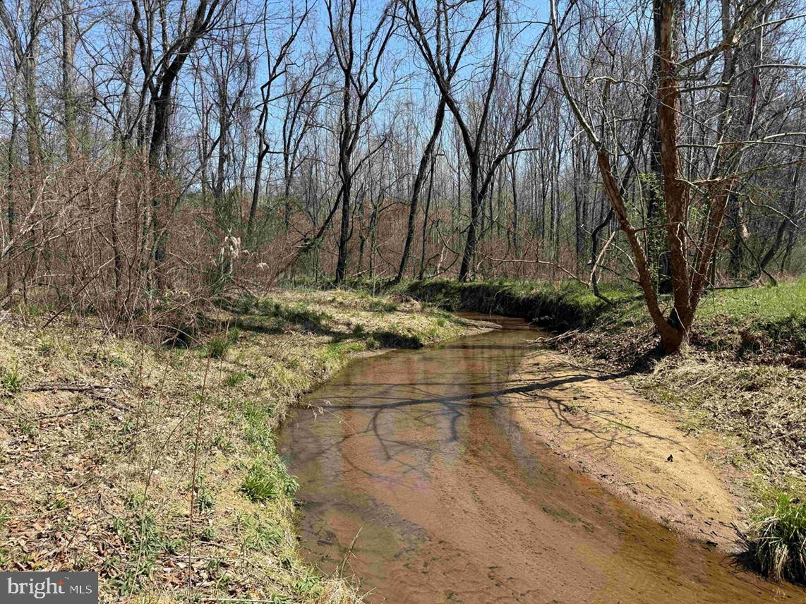 DABNEY HOUSE ROAD (TRACT: PITTSYLVANIA COMPTON-3) Property Photo 1
