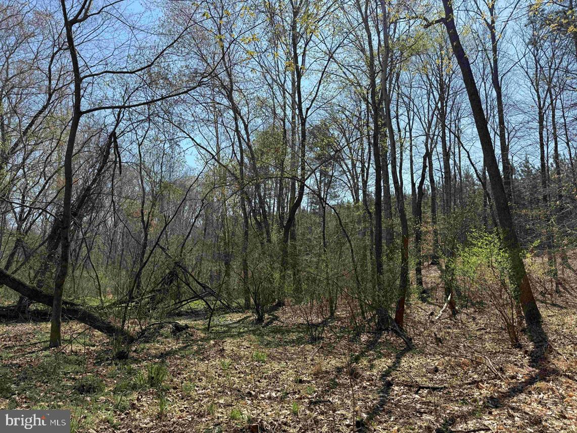 Dabney House Road (tract: Pittsylvania Compton-3) Property Photo 2