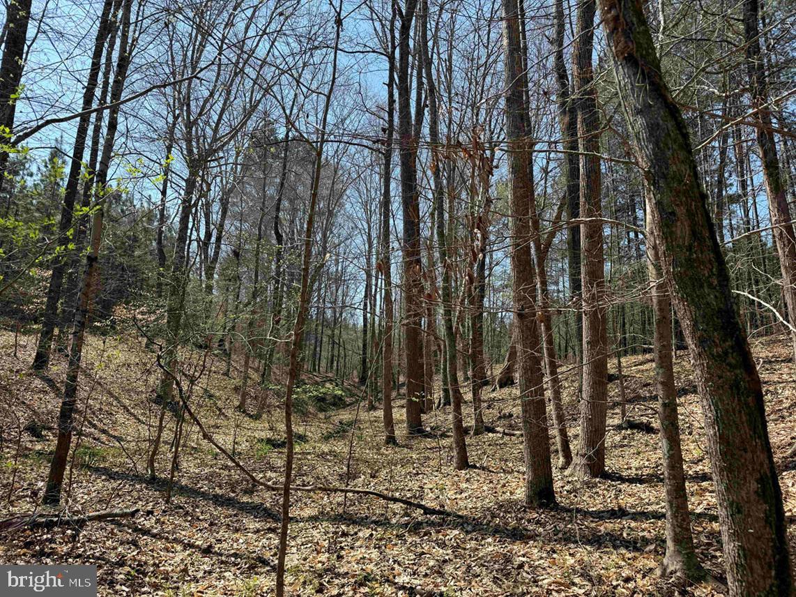 Dabney House Road (tract: Pittsylvania Compton-3) Property Photo 3