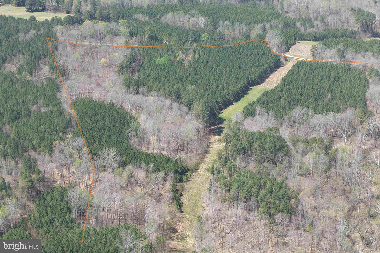 Dabney House Road (tract: Pittsylvania Compton-3) Property Photo 7