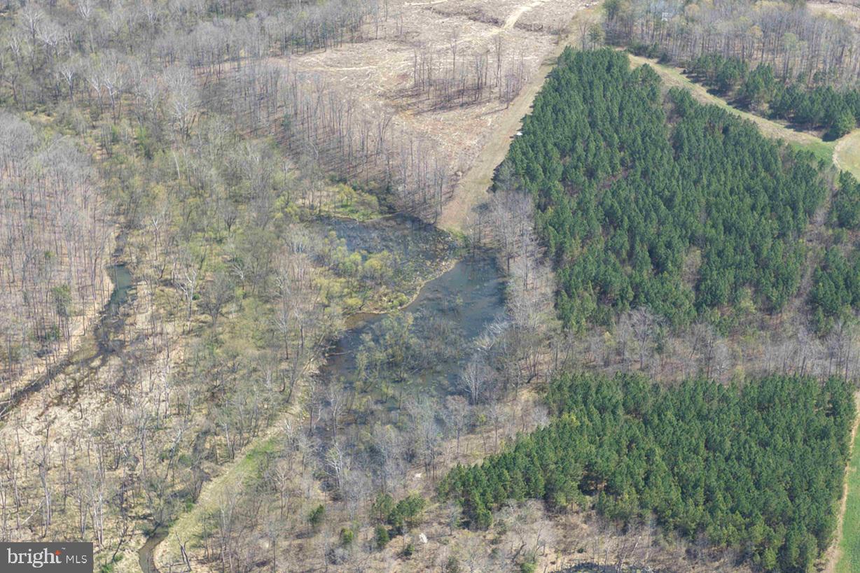 Dabney House Road (tract: Pittsylvania Compton-3) Property Photo 8