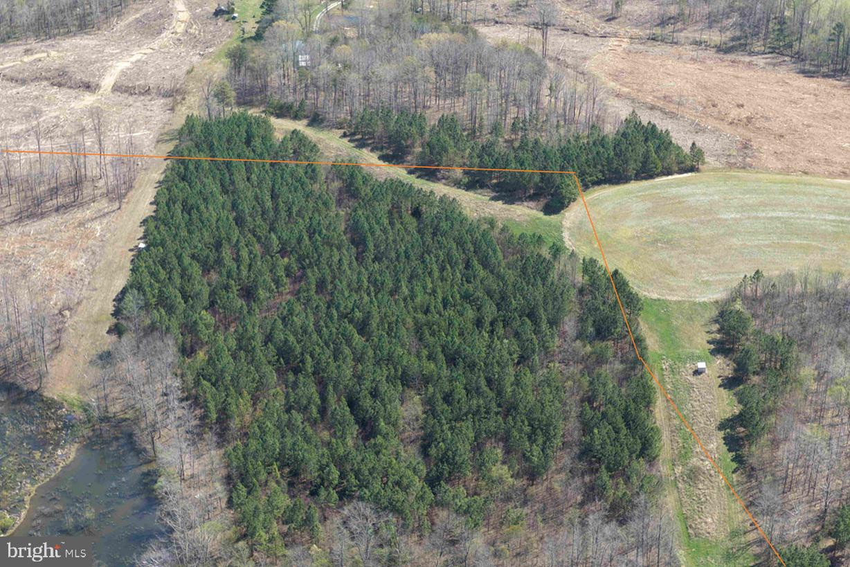 Dabney House Road (tract: Pittsylvania Compton-3) Property Photo 9