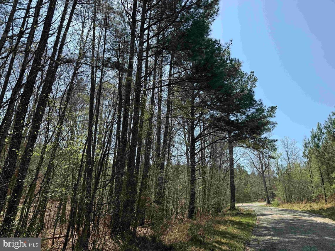 Dabney House Road (tract: Pittsylvania Compton-3) Property Photo 12