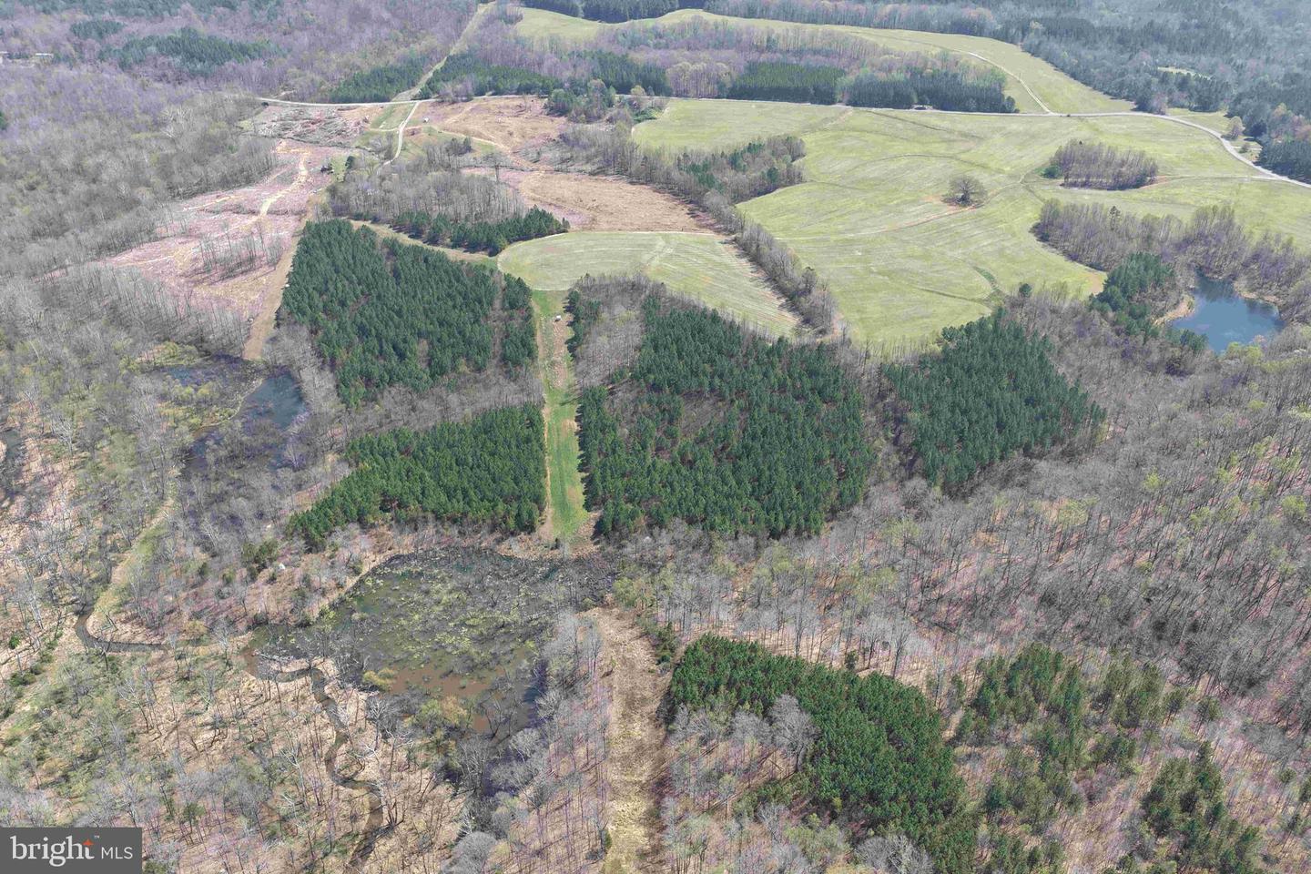 Dabney House Road (tract: Pittsylvania Compton-3) Property Photo 13