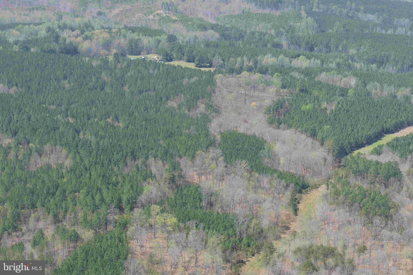 Dabney House Road (tract: Pittsylvania Compton-3) Property Photo 14