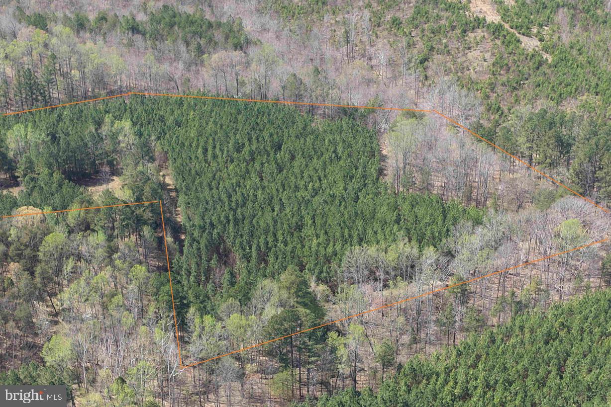 Dabney House Rd. - (tract: Pittsylvania Compton-1) Property Photo 2