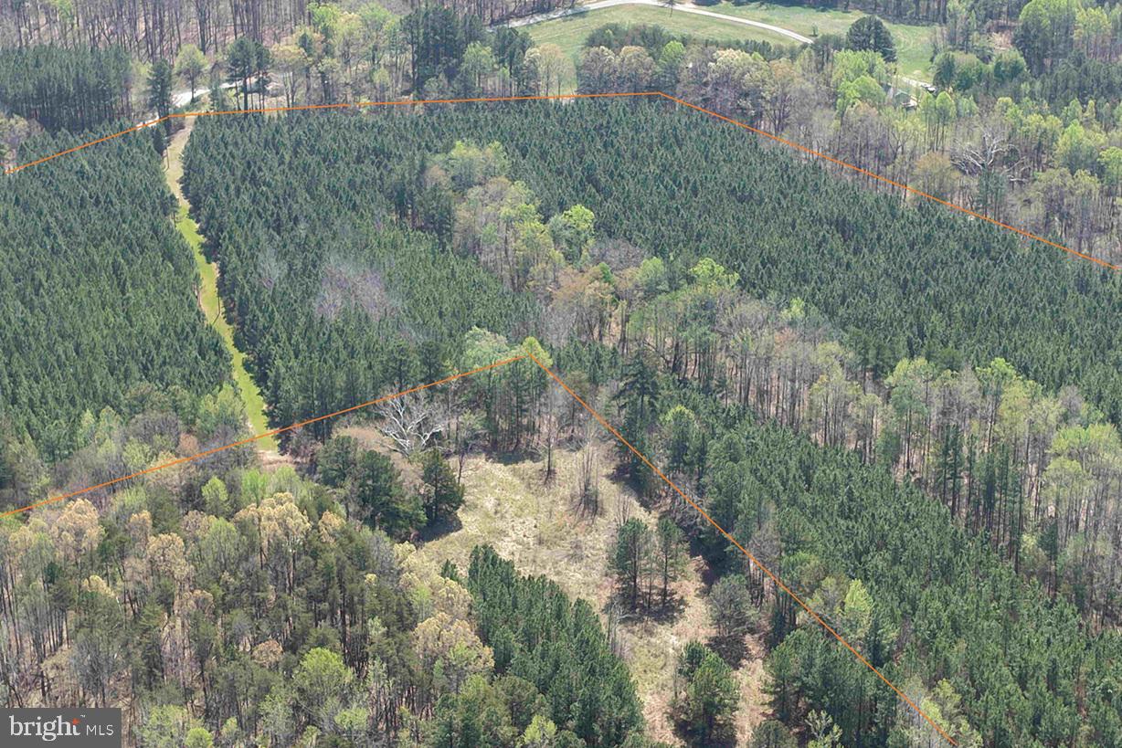 Dabney House Rd. - (tract: Pittsylvania Compton-1) Property Photo 3