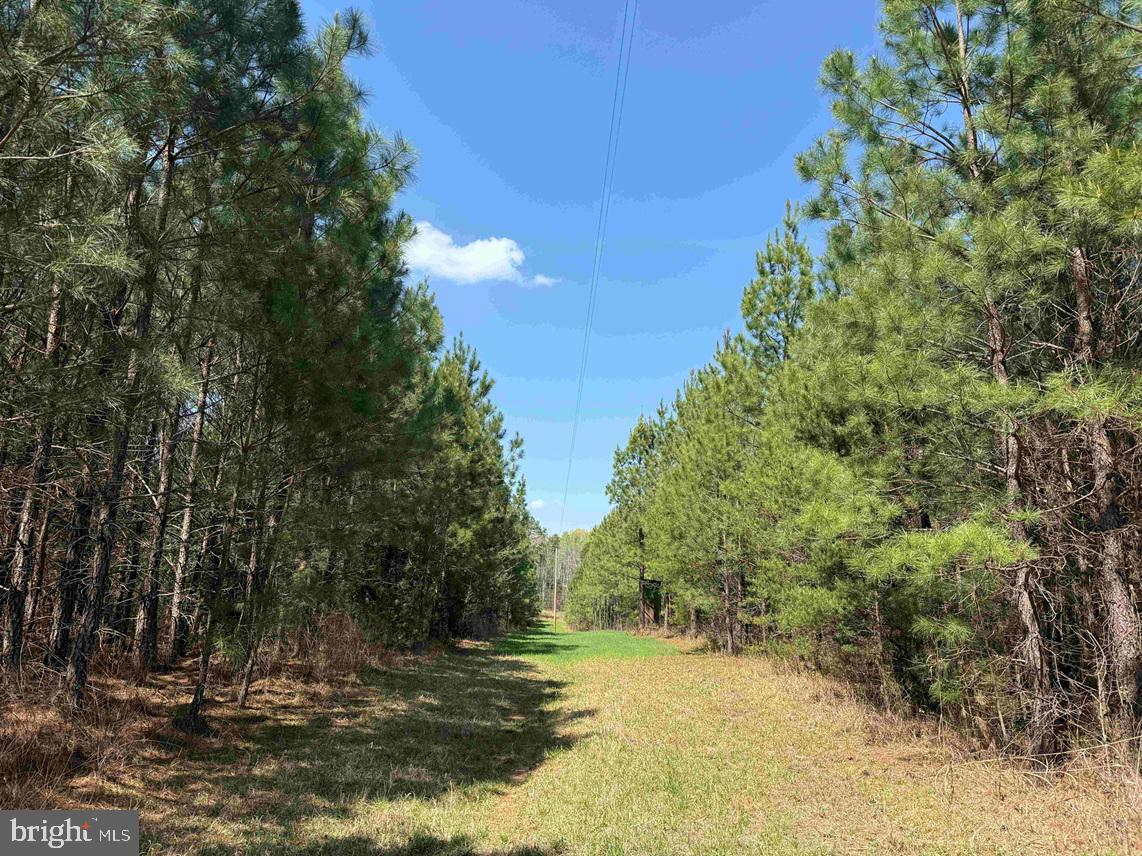 Dabney House Rd. - (tract: Pittsylvania Compton-1) Property Photo 6