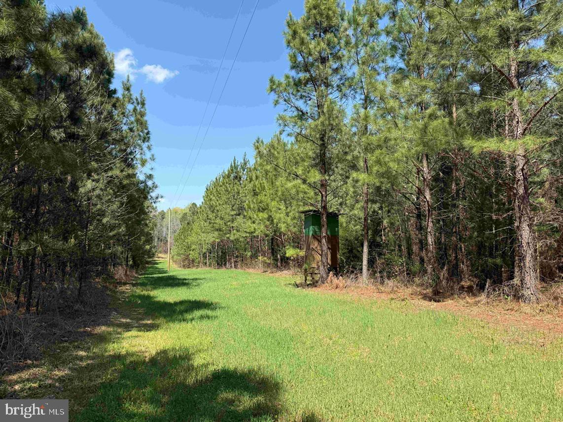 Dabney House Rd. - (tract: Pittsylvania Compton-1) Property Photo 7