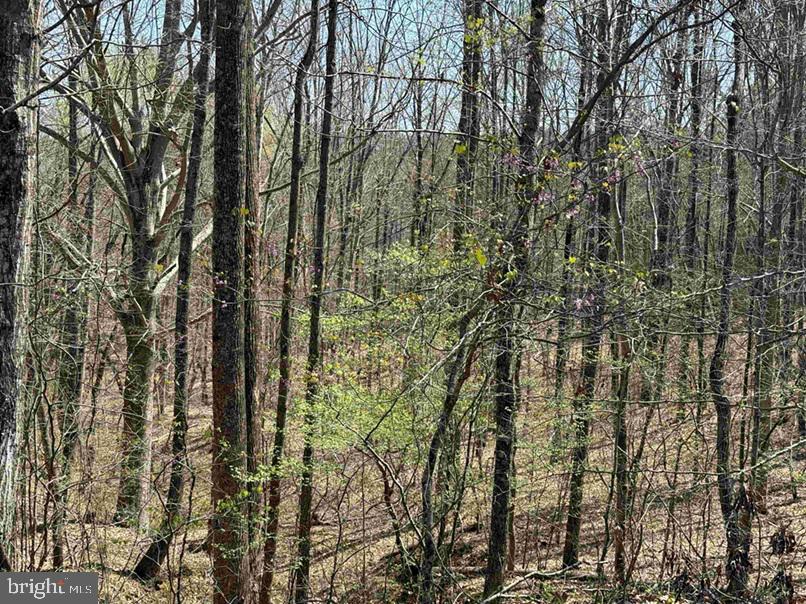 Dabney House Rd. - (tract: Pittsylvania Compton-1) Property Photo 8