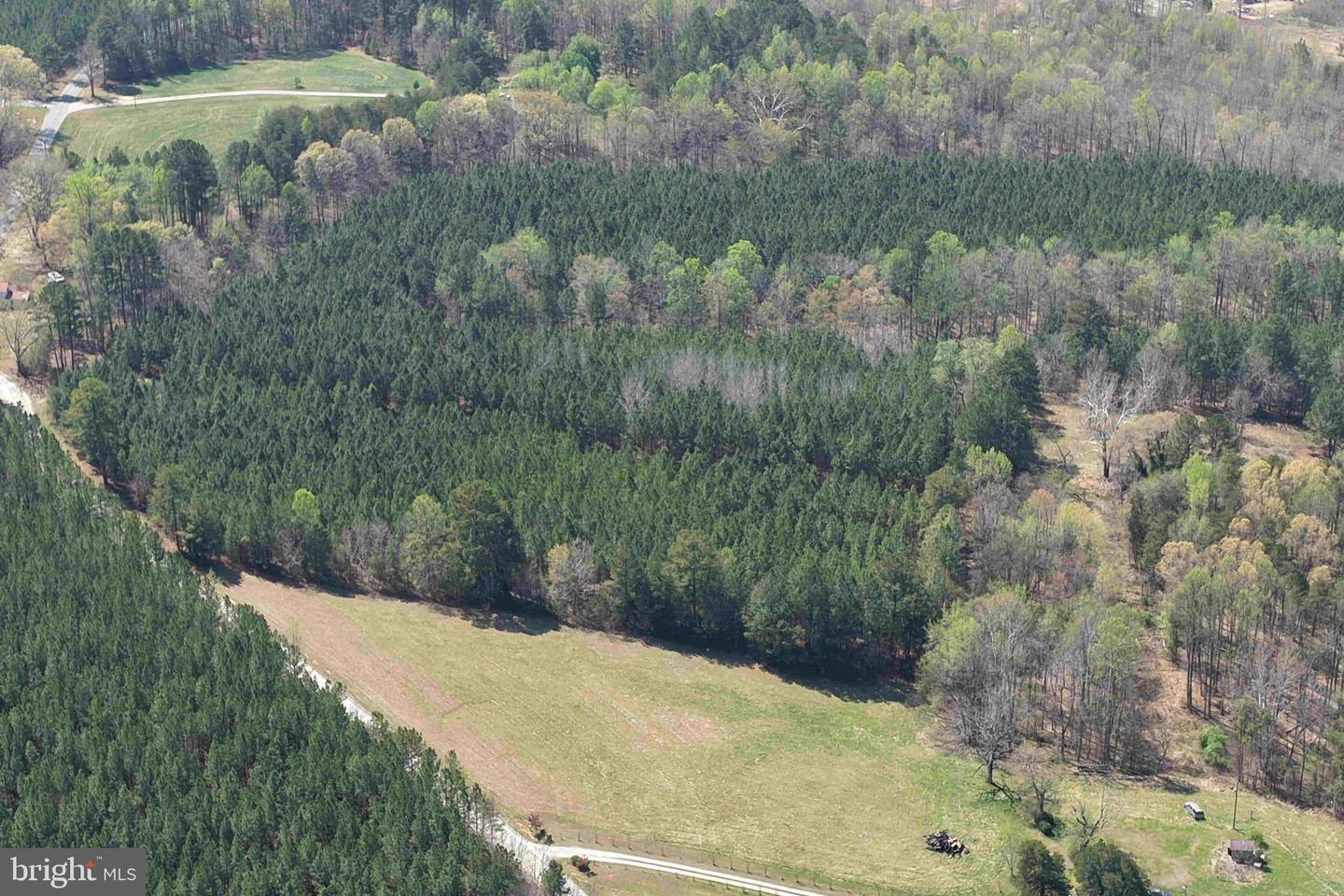Dabney House Rd. - (tract: Pittsylvania Compton-1) Property Photo 11