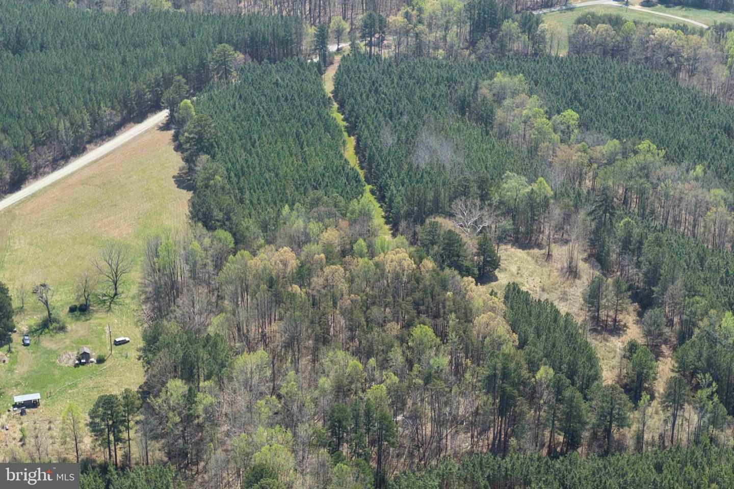 Dabney House Rd. - (tract: Pittsylvania Compton-1) Property Photo 12