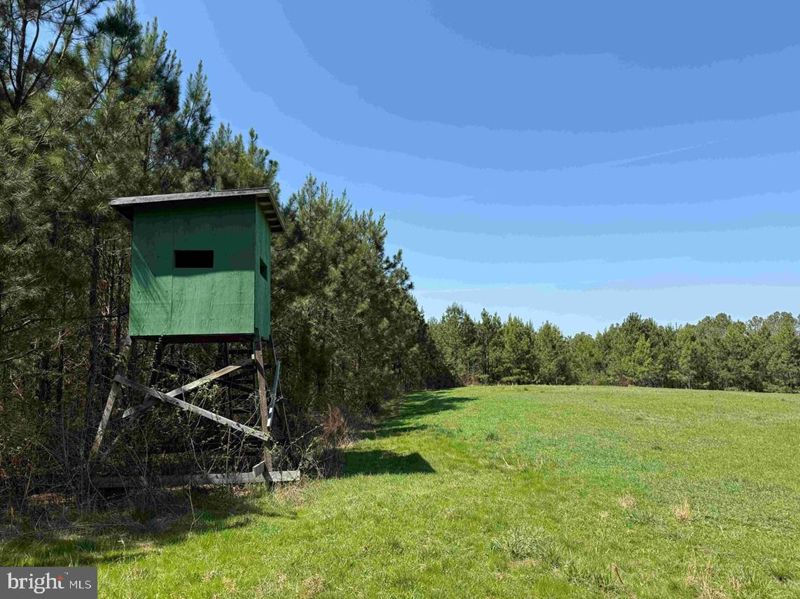 Dabney House Rd.-(tract: Pittsylvania Compton-2) Property Photo 1