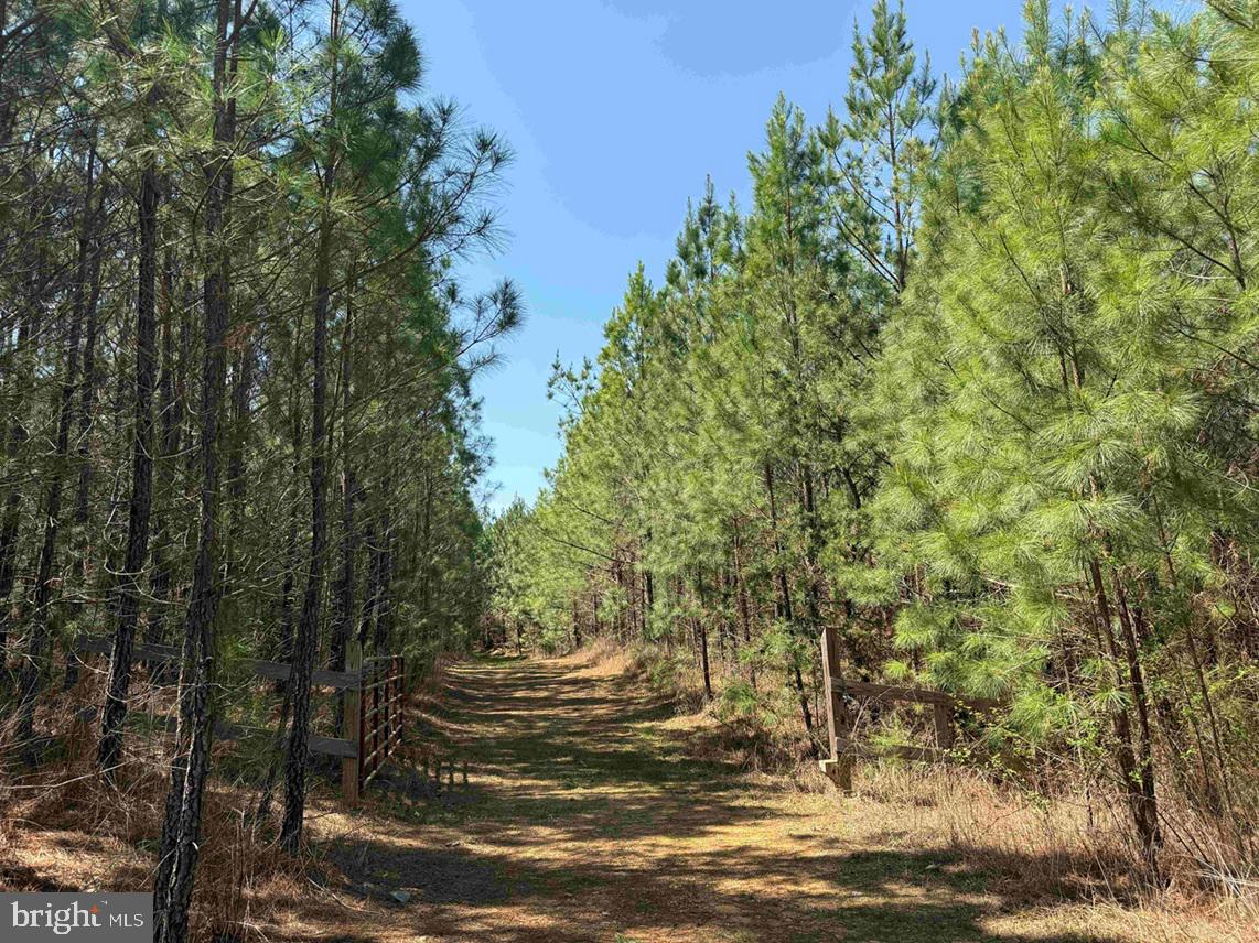Dabney House Rd.-(tract: Pittsylvania Compton-2) Property Photo 2