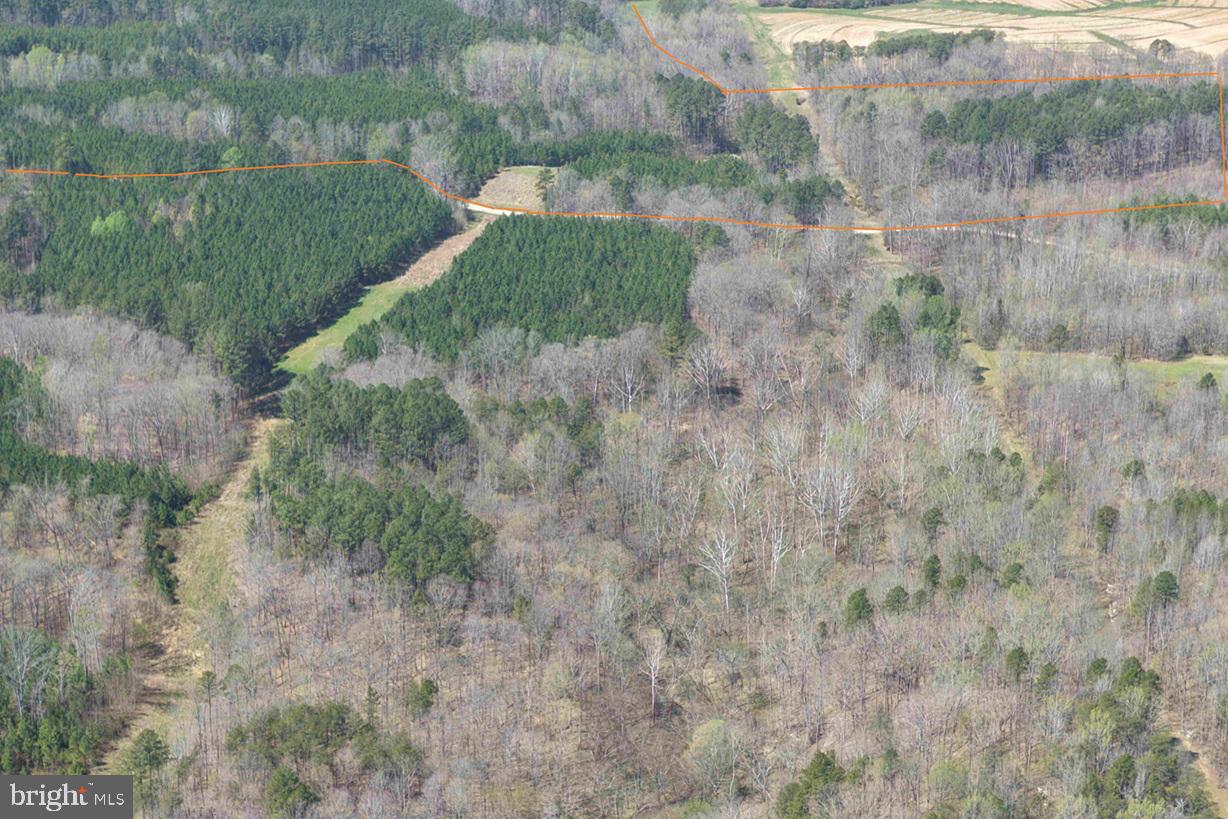 Dabney House Rd.-(tract: Pittsylvania Compton-2) Property Photo 6