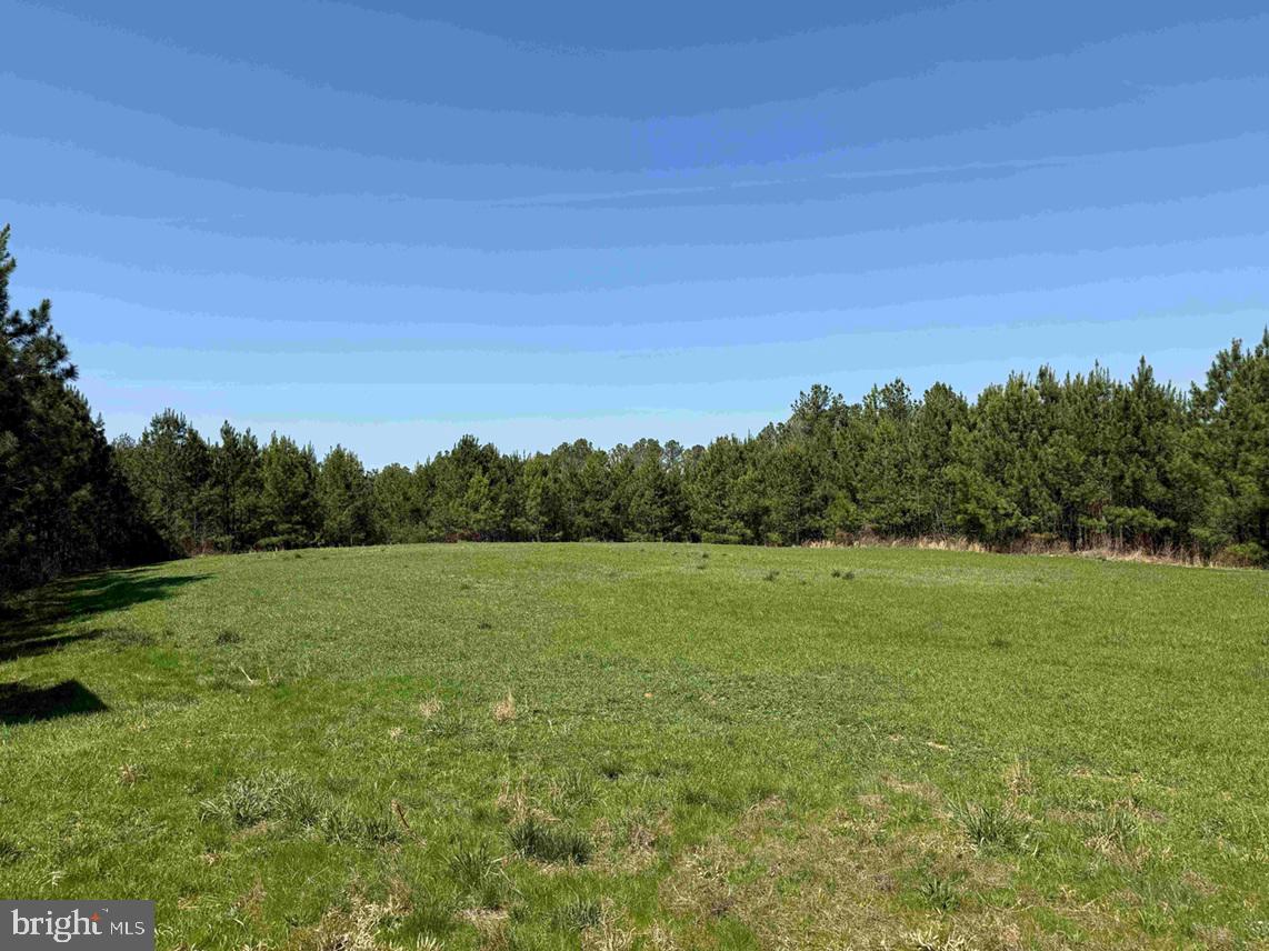 Dabney House Rd.-(tract: Pittsylvania Compton-2) Property Photo 7