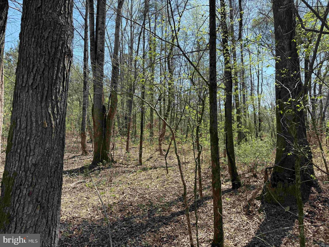 Dabney House Rd.-(tract: Pittsylvania Compton-2) Property Photo 8