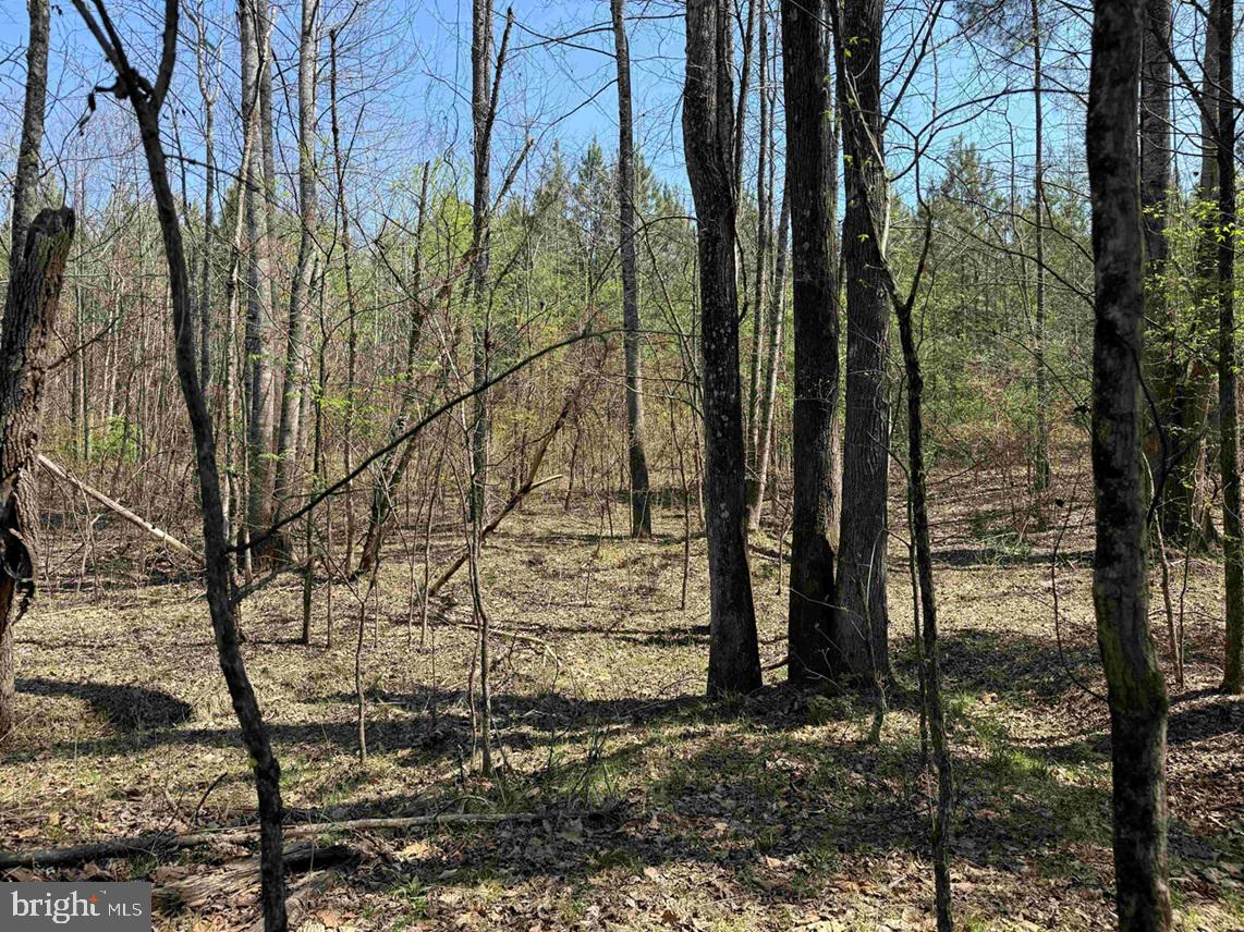 Dabney House Rd.-(tract: Pittsylvania Compton-2) Property Photo 9
