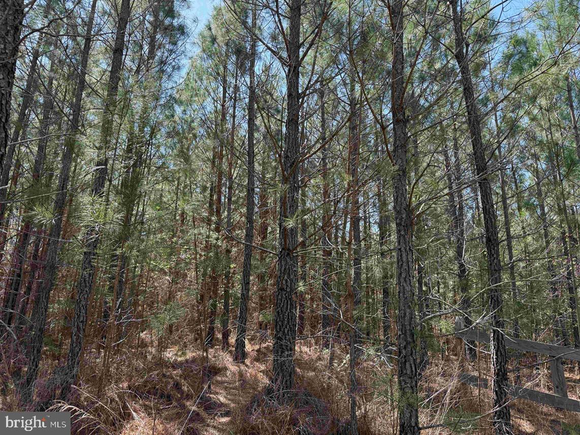 Dabney House Rd.-(tract: Pittsylvania Compton-2) Property Photo 10