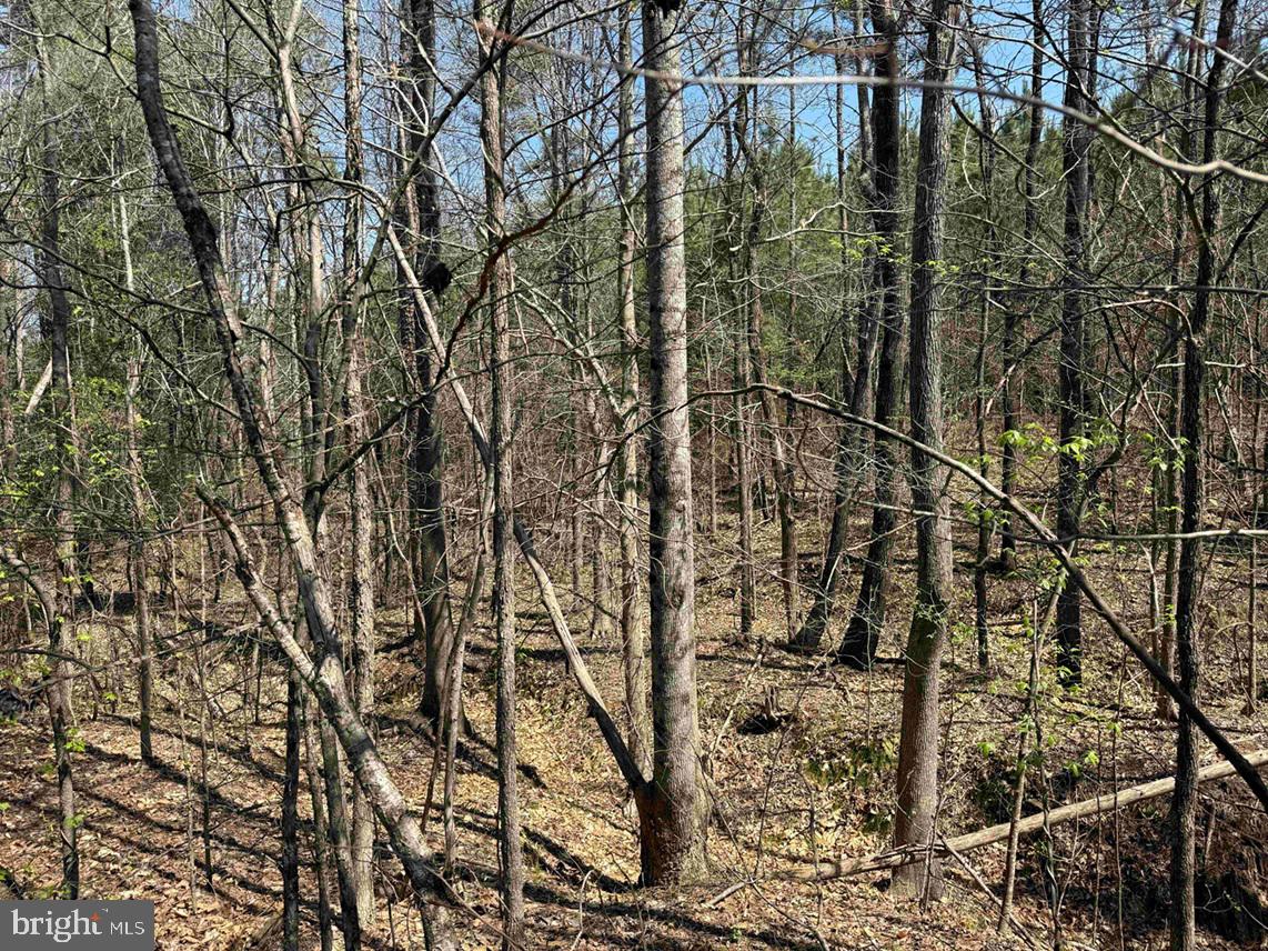 Dabney House Rd.-(tract: Pittsylvania Compton-2) Property Photo 11
