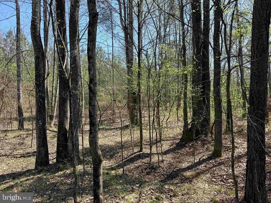 Dabney House Rd.-(tract: Pittsylvania Compton-2) Property Photo 12