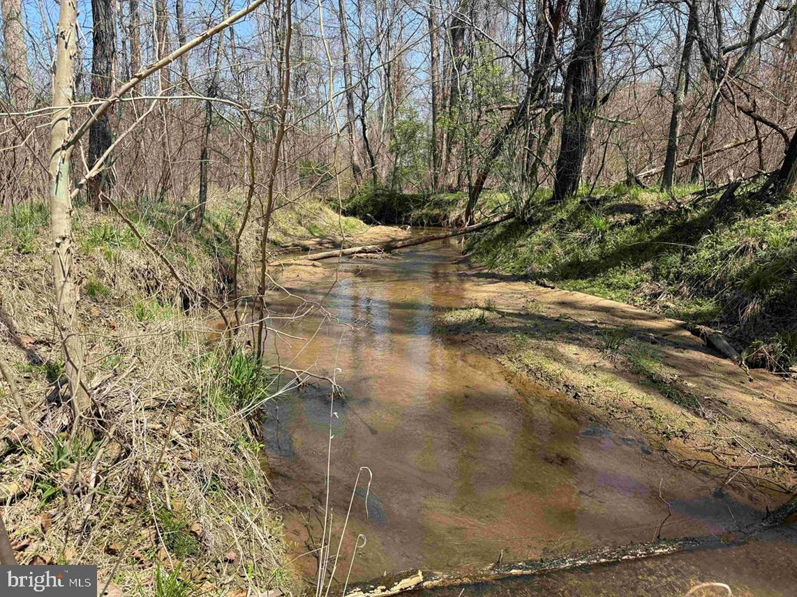 Dabney House Rd.-(tract: Pittsylvania Compton-2) Property Photo 13