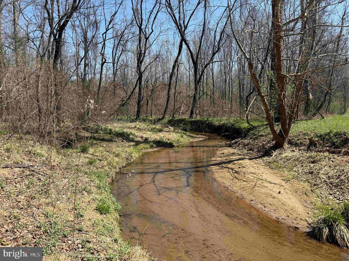 Dabney House Rd.-(tract: Pittsylvania Compton-2) Property Photo 14