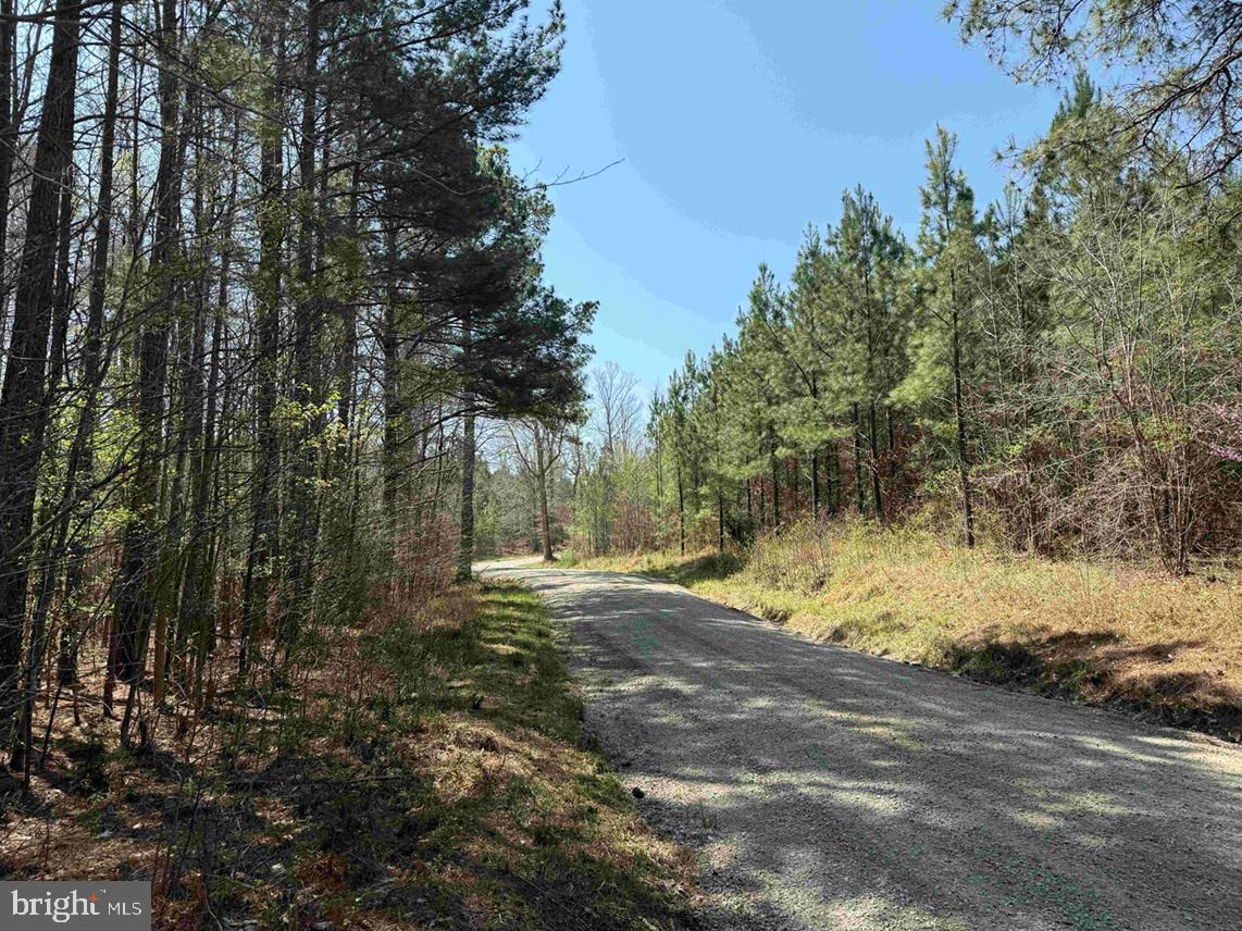Dabney House Rd.-(tract: Pittsylvania Compton-2) Property Photo 15