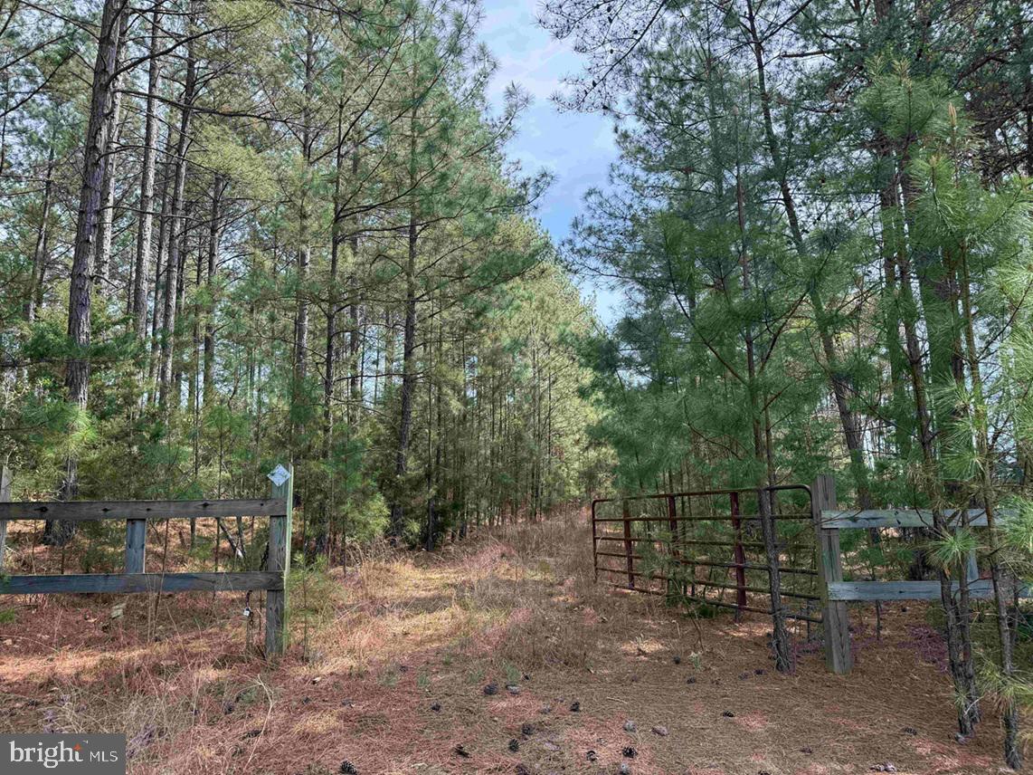 Bearskin Road (tract: Reynolds A-1) Property Photo 1