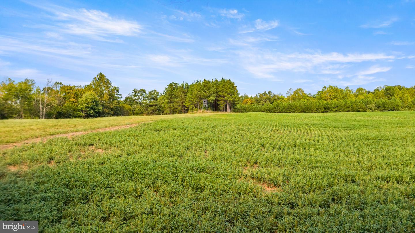 11271 Kentuck Rd Property Photo 38