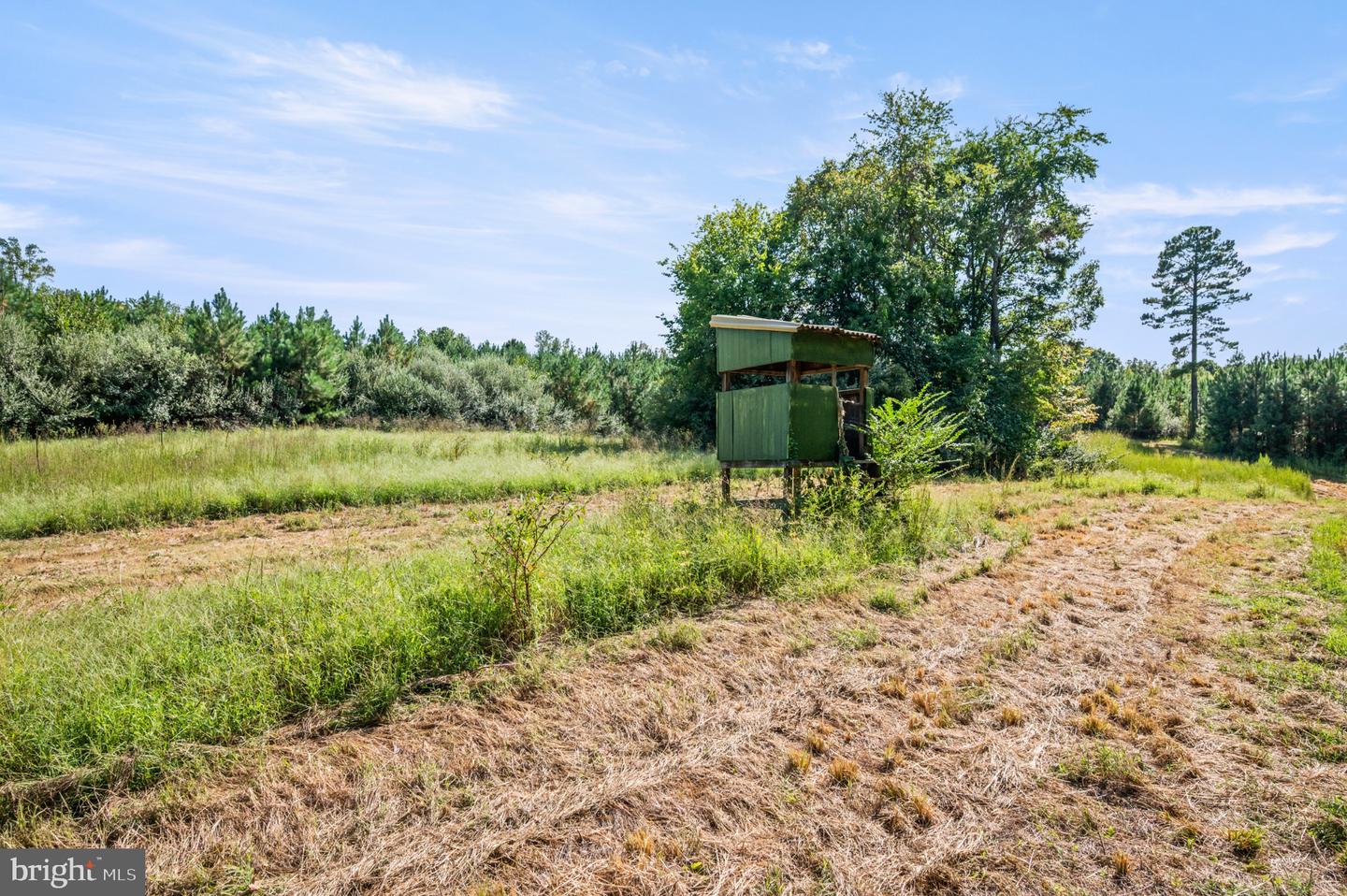 11271 Kentuck Rd Property Photo 61