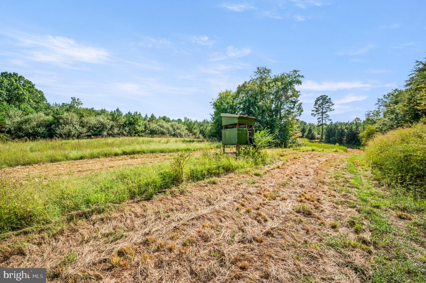 11271 Kentuck Rd Property Photo 62