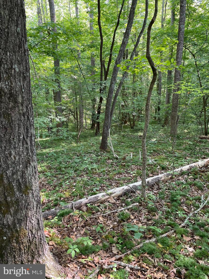 Sycamore Cr Lt34 Property Photo 1