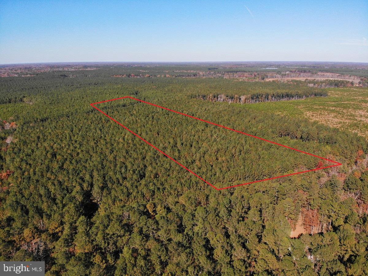 0 Pole Run Rd Property Photo 11