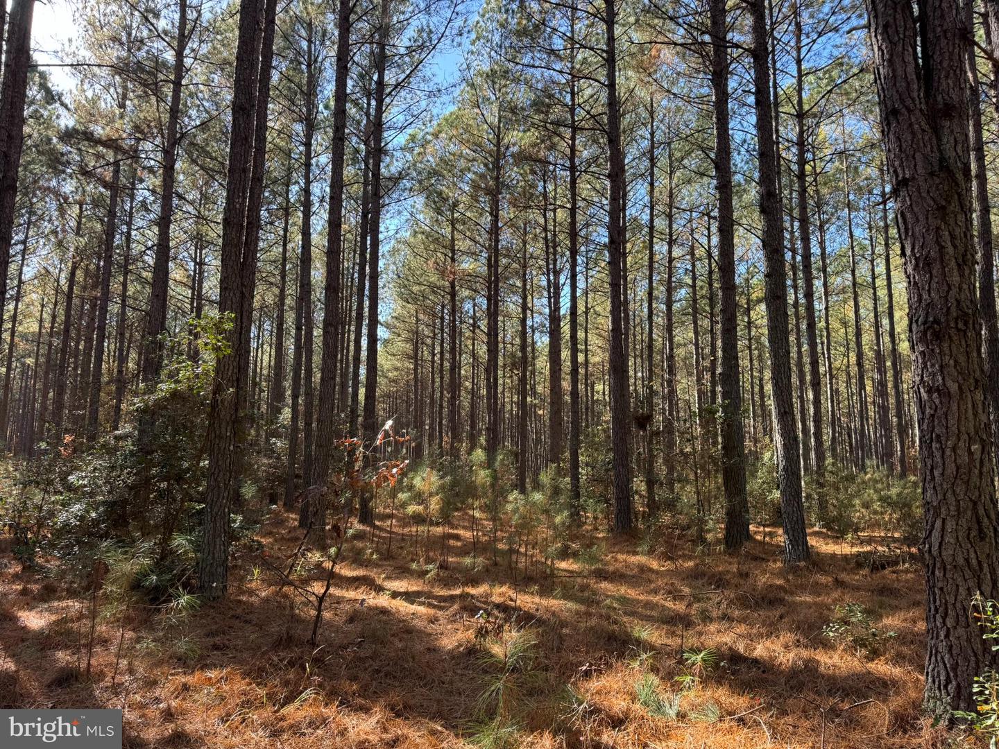 0 Pole Run Rd Property Photo 15