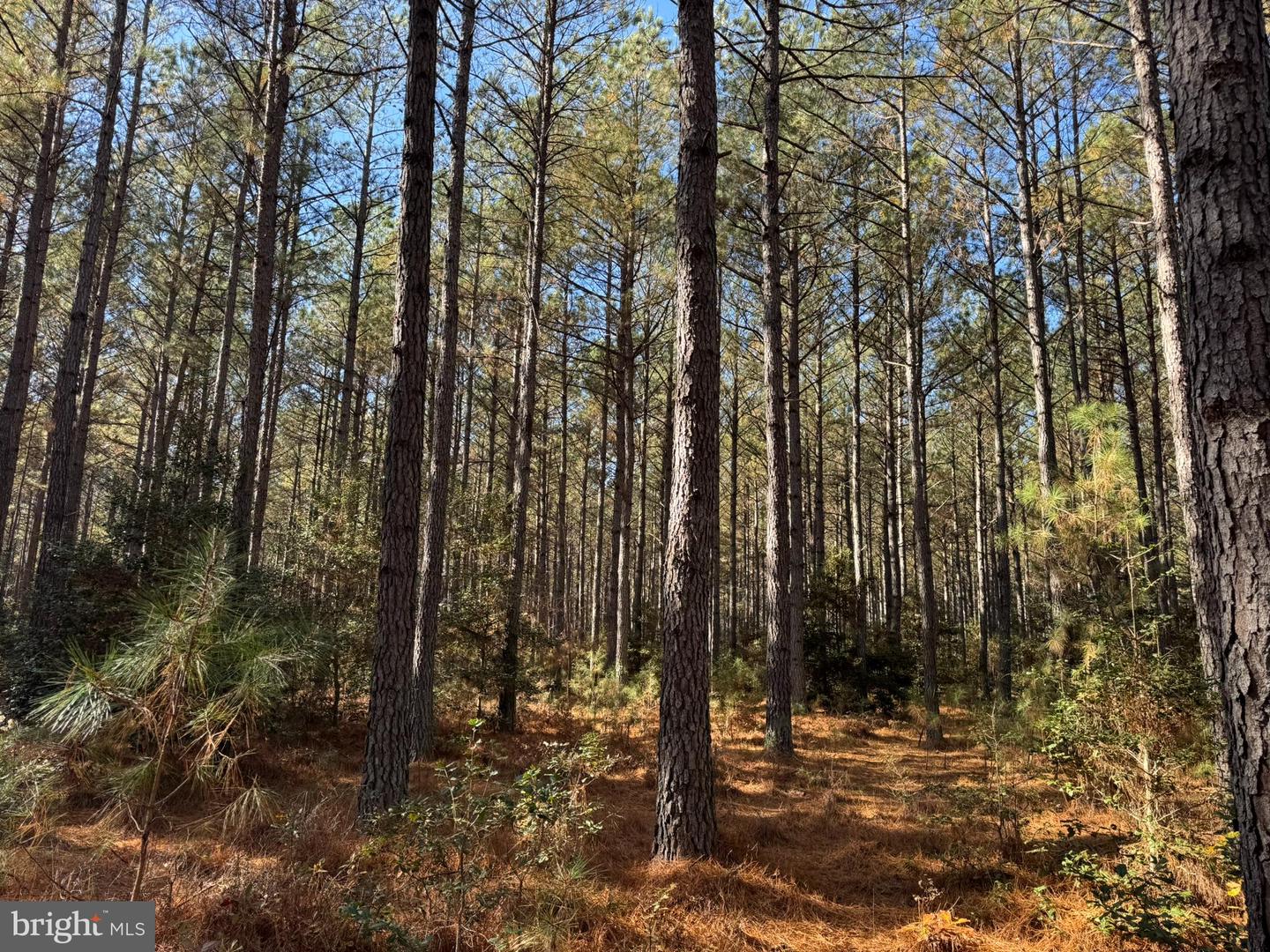 0 Pole Run Rd Property Photo 20