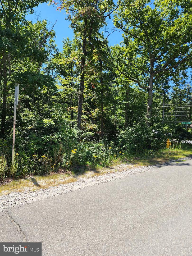 5214 Davis Ford Rd Property Photo 2