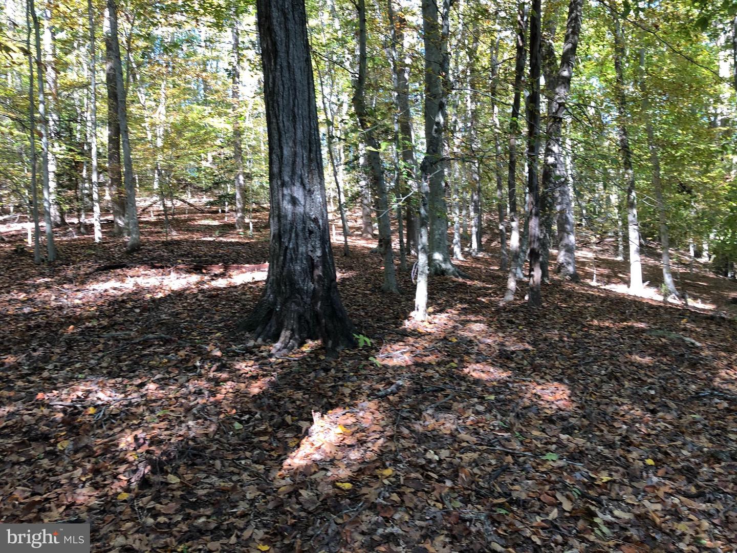10806 Gladney Dr Property Photo 10