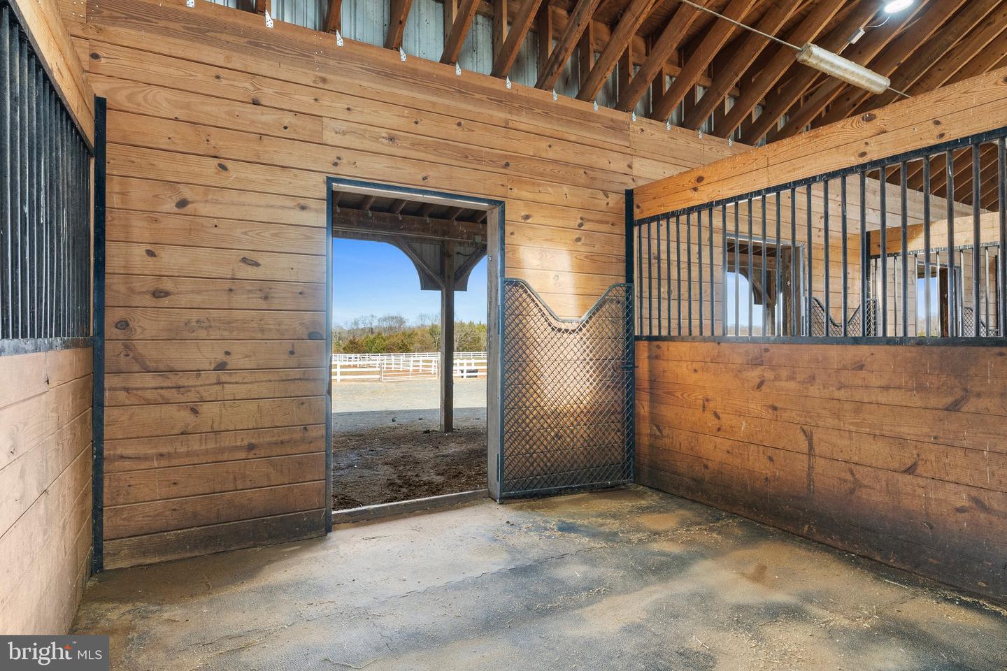 10900 Misty Creek Ct Property Photo 67