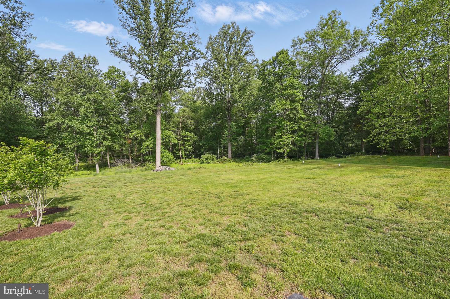 15280 Riding Club Dr Property Photo 81