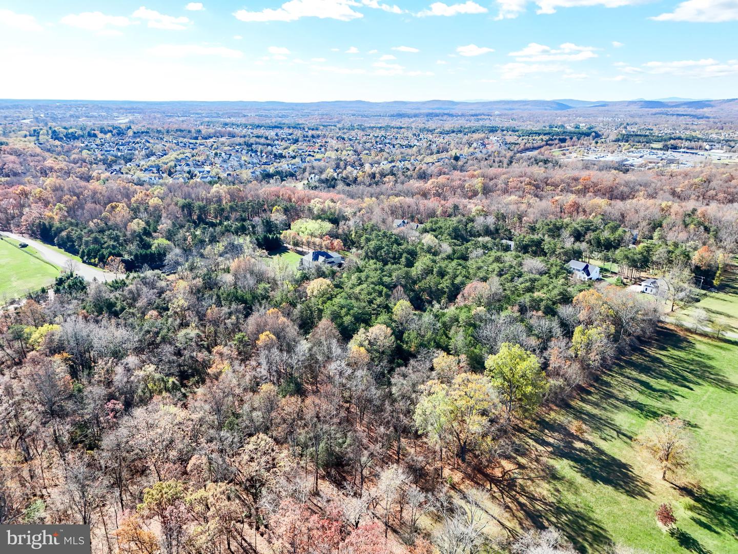 15280 Riding Club Dr Property Photo 99