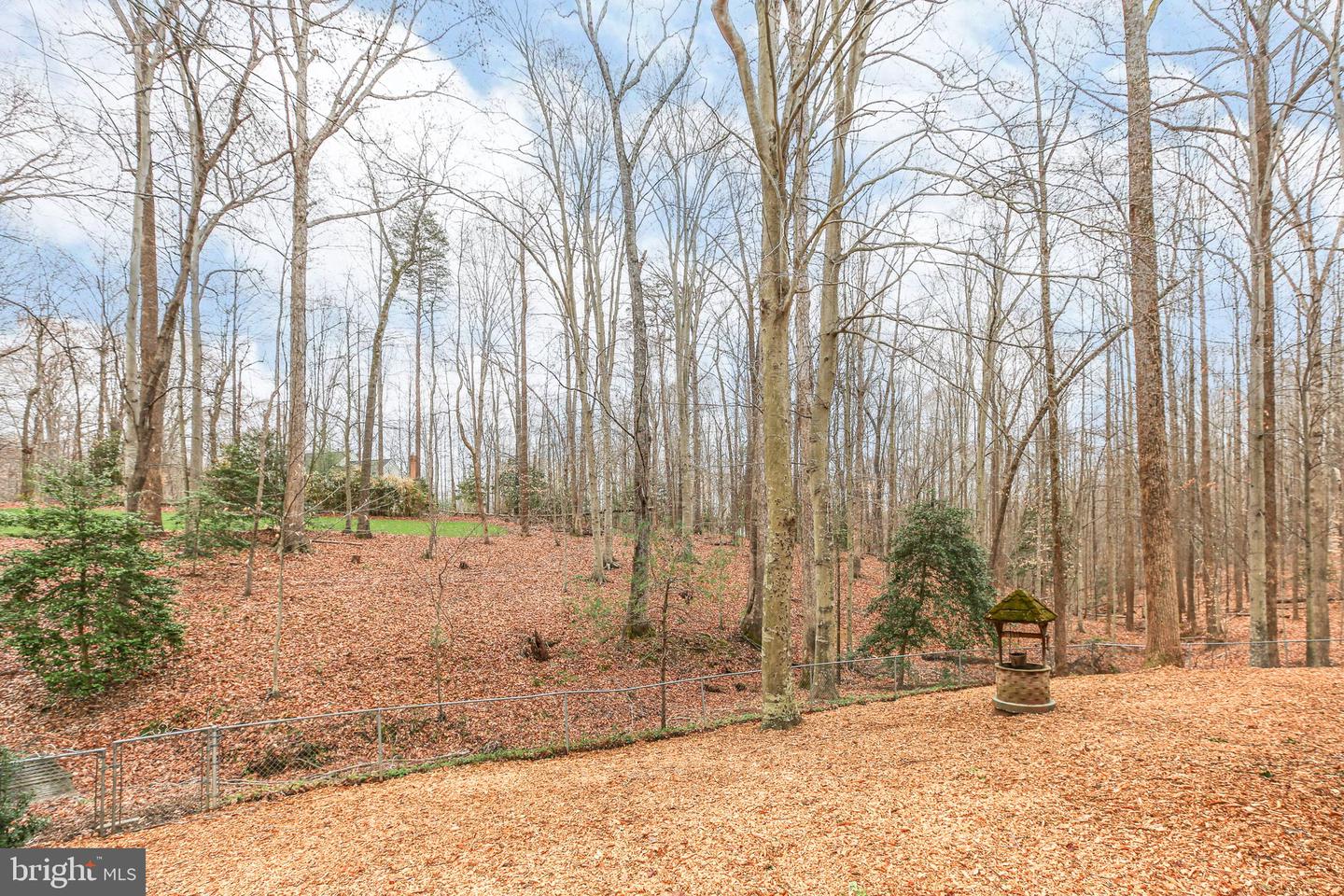 10831 Moore Dr Property Photo 44