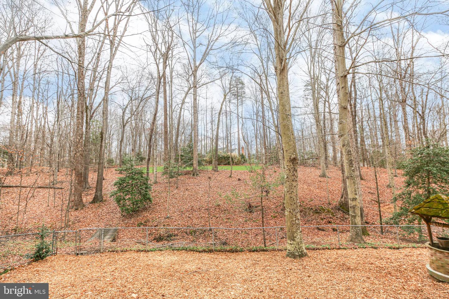 10831 Moore Dr Property Photo 45