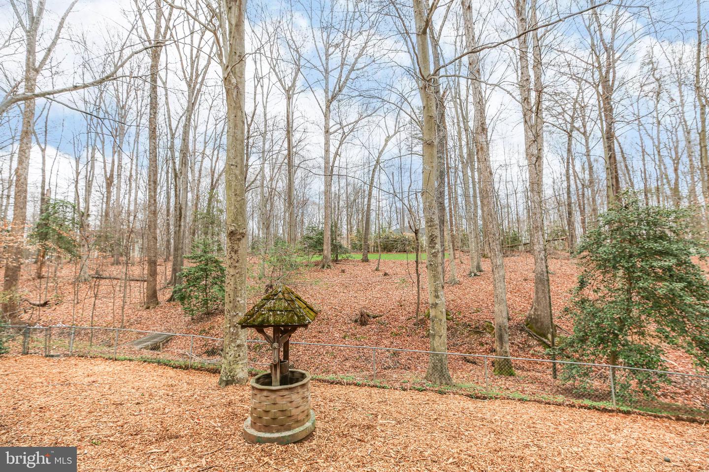 10831 Moore Dr Property Photo 46
