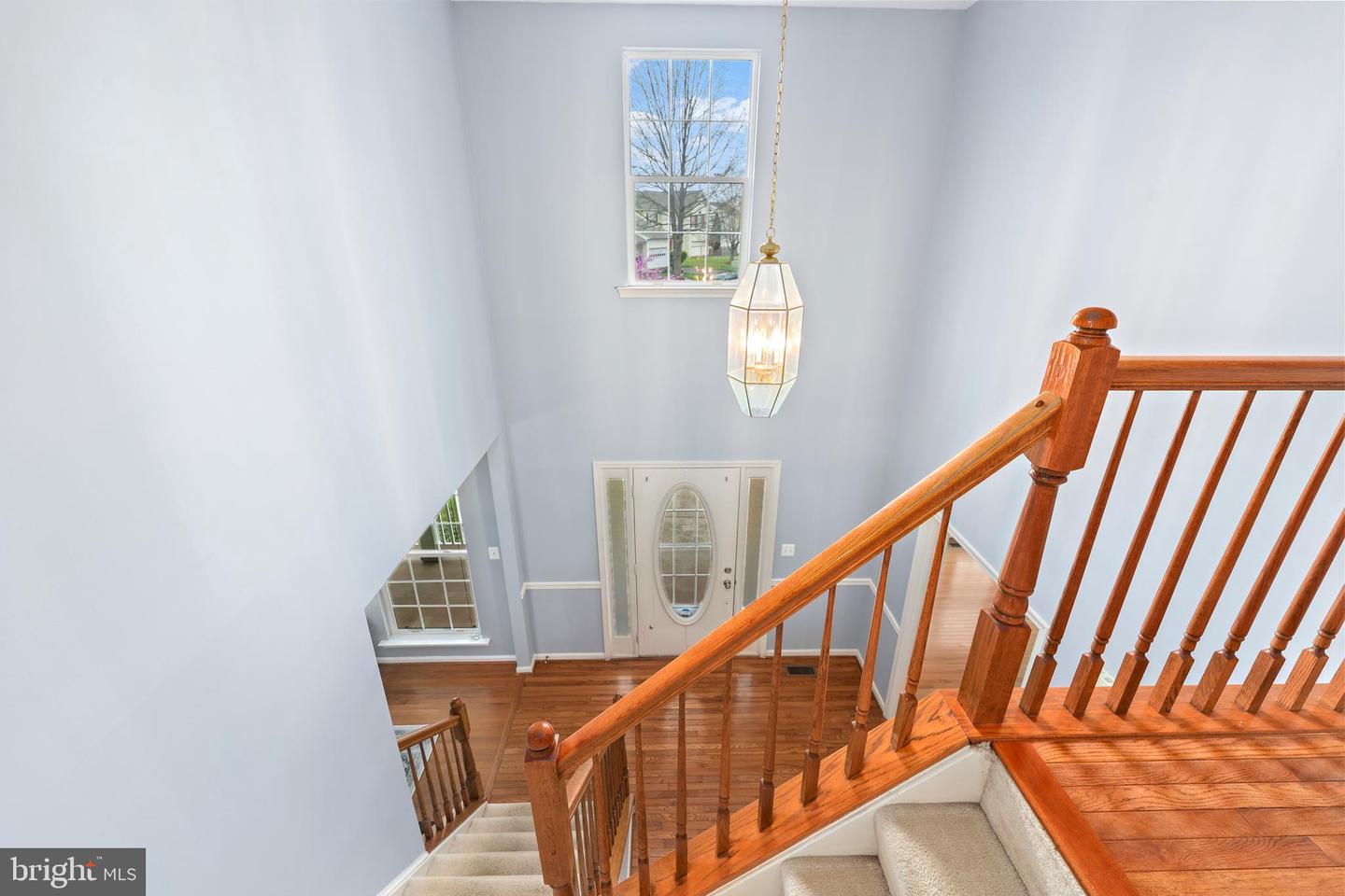 10117 Chokecherry Ct Property Photo 29