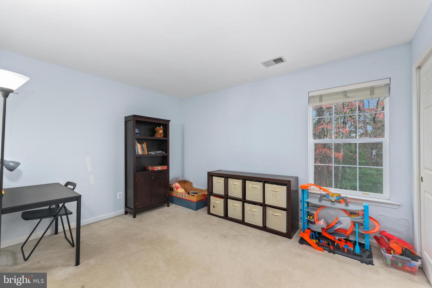 10117 Chokecherry Ct Property Photo 38